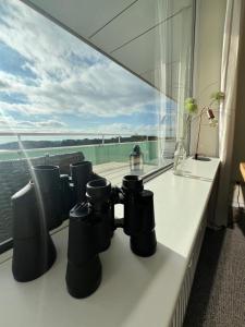Panoramablick über den See