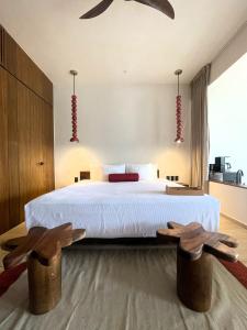 Departamento Mexico contemporaneo