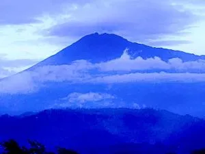 Arusha Mountain Views - 阿鲁沙