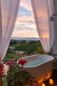 ภูแสงเทียน โฮมสเตย์