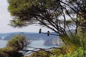 TWO IN THE BUSH - Stunning views, bush hideaway! - Tryphena