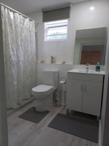 4 Baths, Special Offer! Groups, Family-12 mins to Holetown