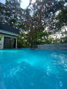 Fortuna Jungle & River Retreat - Private pool, River and Wifi in the forest - Secluded, peaceful, truly UNIQUE! A GEM! Book Now!