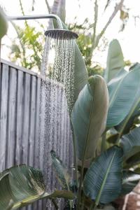 The Sunshine Bungalow Beautiful Noosa Home