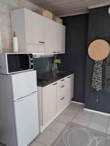 Arolahti Suite ( Rapojärvi )