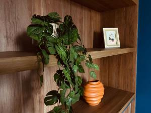 Apartamentos Clássicos em Cabo Branco