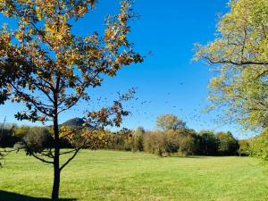 Csigaház apartman Badacsonytomaj