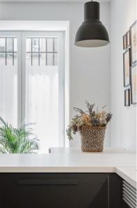 Exclusive designer loft in the centre for 6 people - Duque