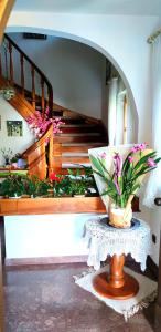 Appartements Villa Fortuna