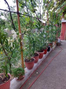 Casuta dintre dealuri