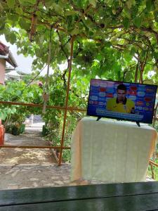 Casuta dintre dealuri