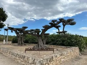 Mas Dauden - L'Aldea