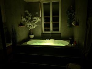 Appartements Le SPA - Villa Valmy - Hypercentre - Gare SNCF : photos des chambres