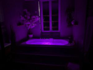 Le SPA - Villa Valmy - Hypercentre - Gare SNCF