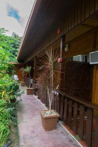 Telesfora Beach Cottage