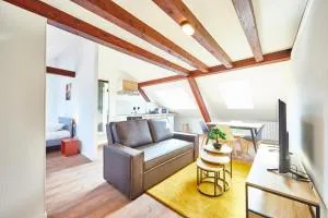 RT 3 - Charmant F2 sous les combles 1-3 pers - Brunstatt