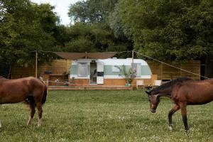 Horizon - Lévasion autonome - Bain nordique