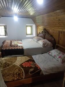 Bujtina Kashnjeti te Lush Zefi