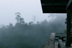 Ma Family Coffee Farm ไร่กาแฟครอบครัวมะ
