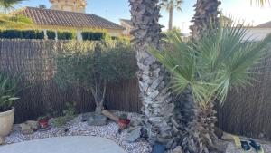 Casa Piña met jaccuzi