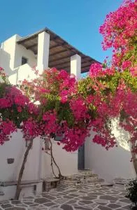 Marousω's Μaisonette - Dhragoulás