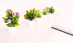 Yangyi Ent - Homestay Double Storey House Melaka