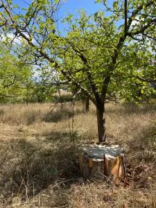 Border Camping for RV's - Bilisht