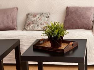 Casa Luisa Jardin 10 Condado de Alhama