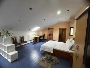 Apartament central Timisoara