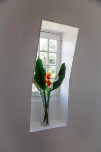 Appartements LE MANOIR PARADI : photos des chambres