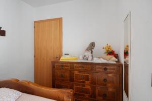 Ciclamino Standard Vittoria