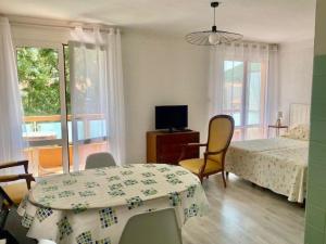 Appartements Studio lumineux avec balcon, Wi-Fi, proche des thermes d'Amelie-les-Bains - FR-1-703-52 : photos des chambres