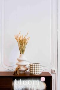 Appartements Le Saint Georges Nancy Stanislas : photos des chambres