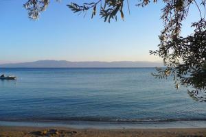 Lovely sea apartment Amarynthos