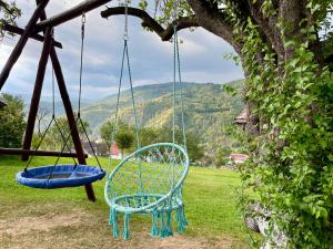 Casa Elena - vedere la munte