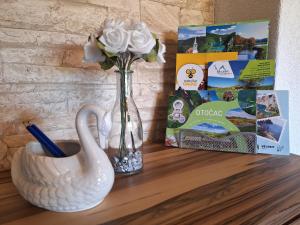 Apartment Nina-bazen-klima-parking