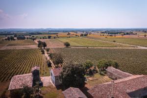 Maisons de vacances Les Blancs - Au coeur des vignes - Piscine : photos des chambres