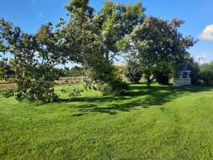 Maisons de vacances L-autre Vie : photos des chambres