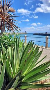 Appartements Duplex a la mer : photos des chambres