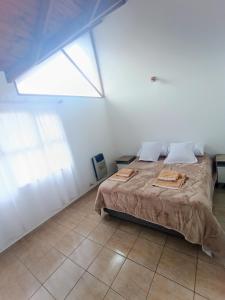 Miradores del Fin del Mundo