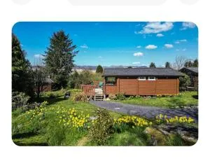 Cosy Cabin In Snowdonia with Views Wi-Fi Dog Friendly & Parking - 特兹西尼德