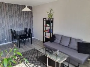 Rauma Canal Apartment - 新考蓬基