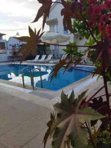 Liva konaklama - 迪迪姆