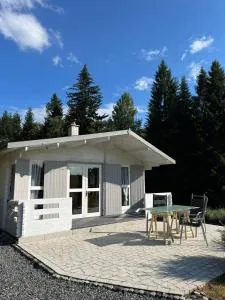 Lavendowa oaza - Kocoń