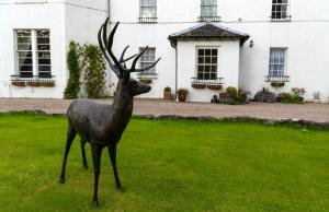 Killean Farmhouse B&B