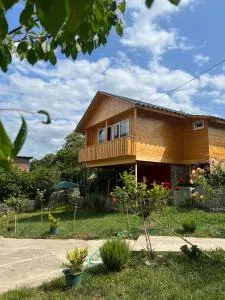 Marisi Cottage - კოტეჯი მარისი - Tsesi