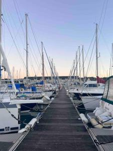 Appartements Escale sur le port de Dahouet avec vue sur mer : photos des chambres