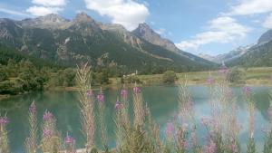 Appartements Superbe T2 avec coin montagne a 2 pas des pistes et des sentiers de randonnee : photos des chambres