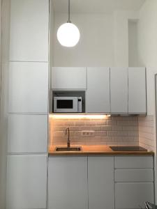 Designer Downtown Apartment