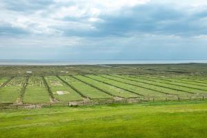 Residenz am Meer 24C Graugans